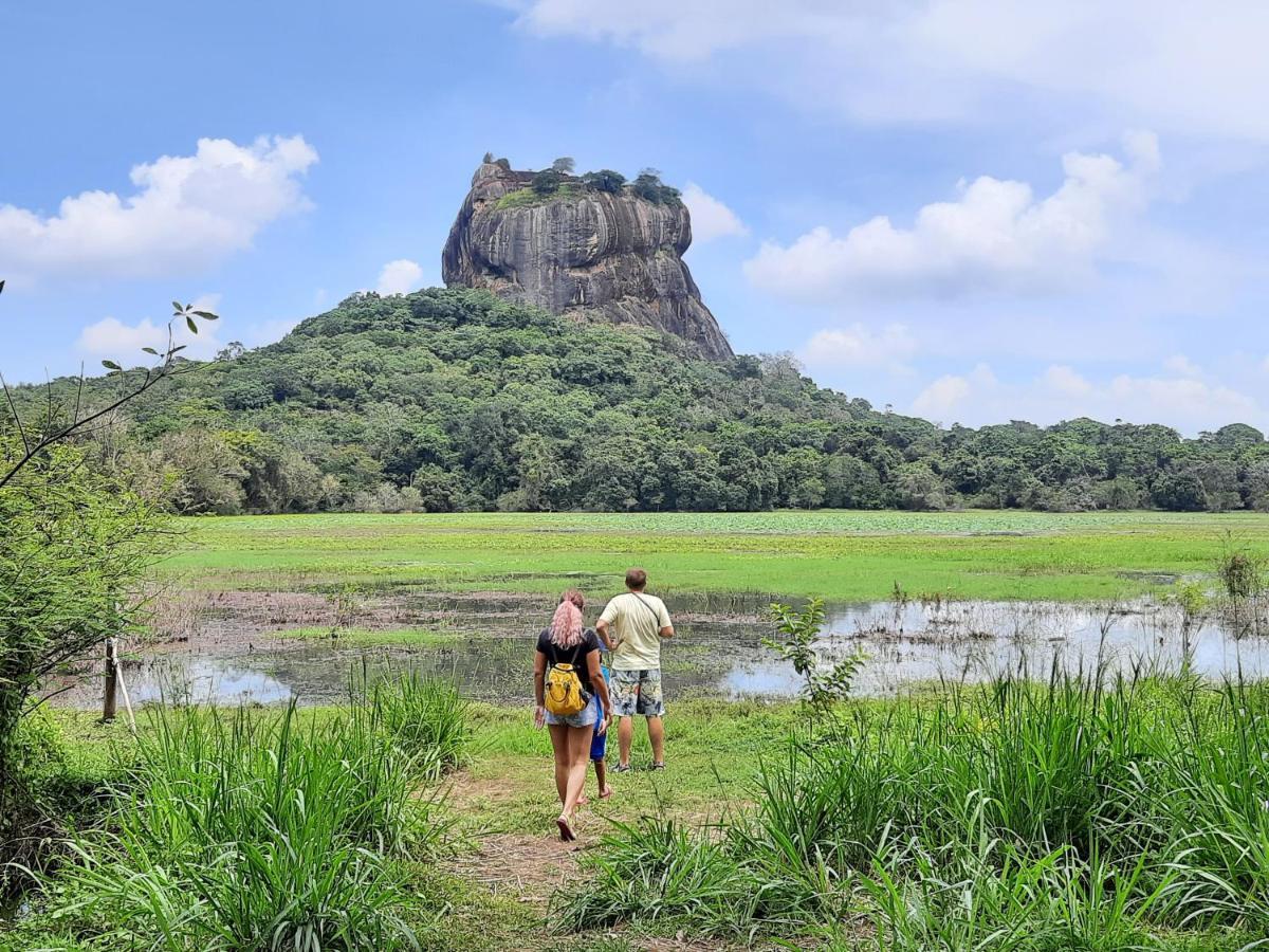 Galaxy View Homestay 锡吉里亚 外观 照片