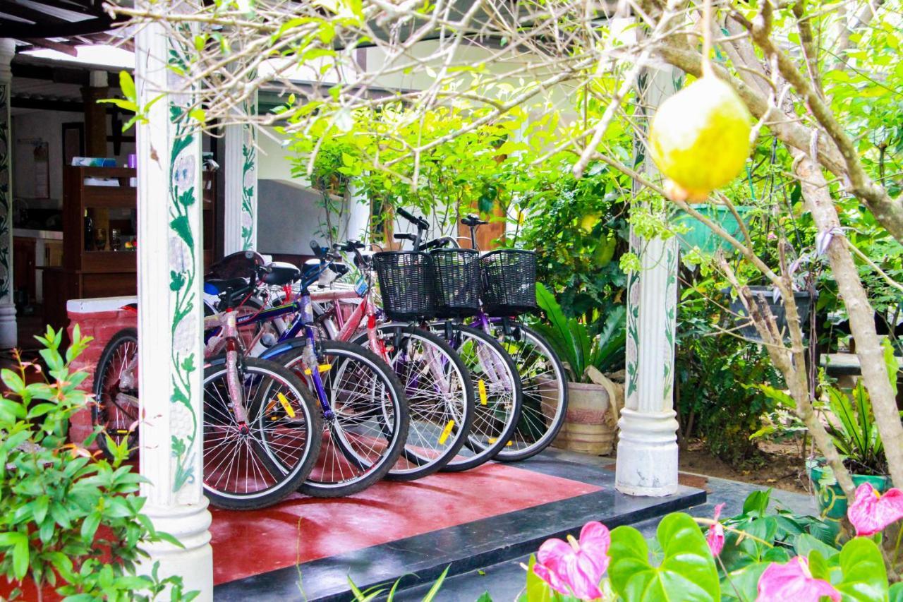 Galaxy View Homestay 锡吉里亚 外观 照片