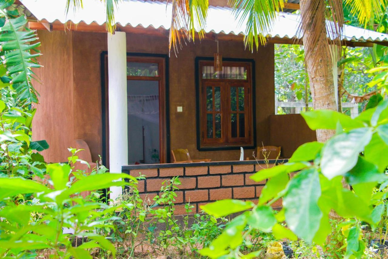 Galaxy View Homestay 锡吉里亚 外观 照片