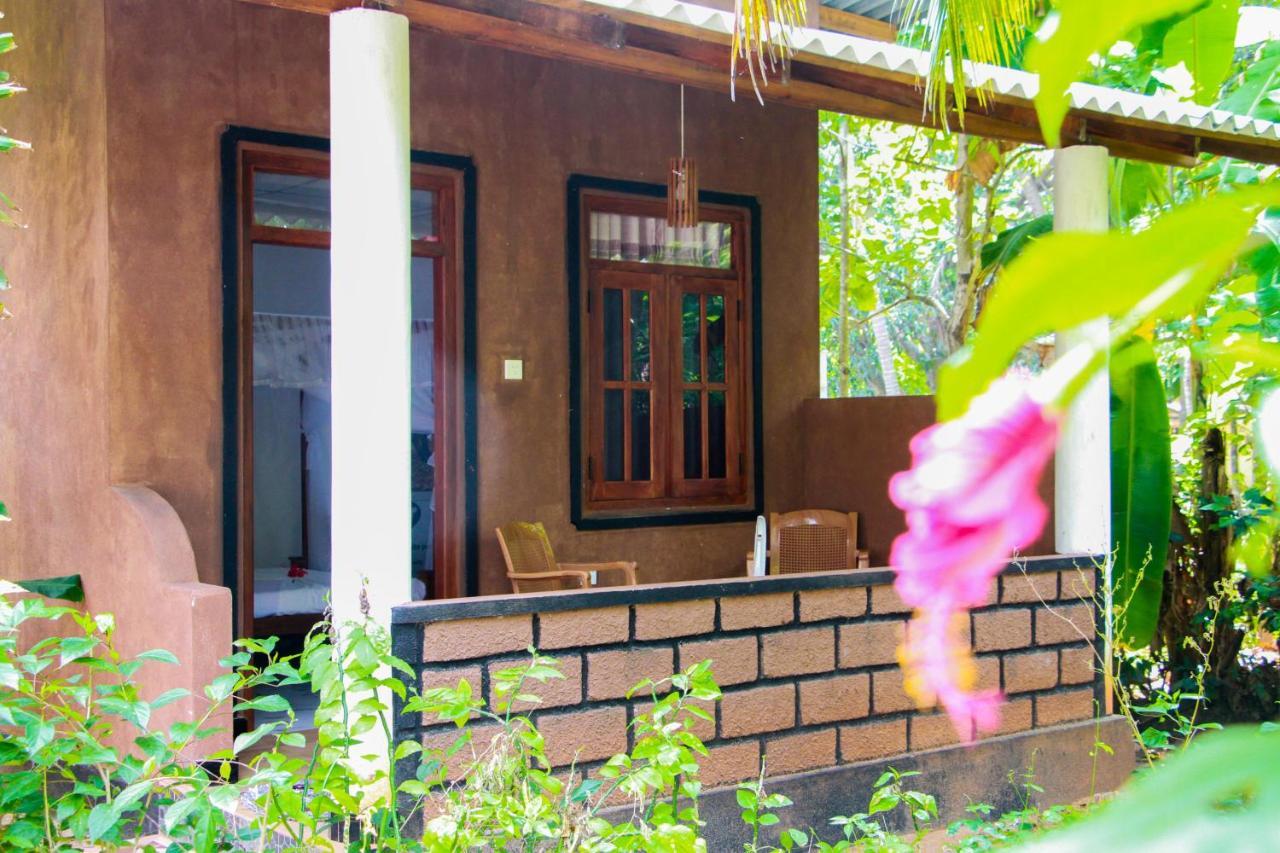 Galaxy View Homestay 锡吉里亚 外观 照片