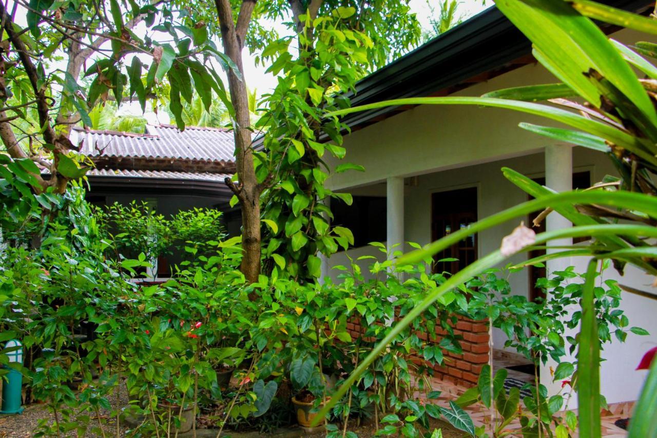 Galaxy View Homestay 锡吉里亚 外观 照片