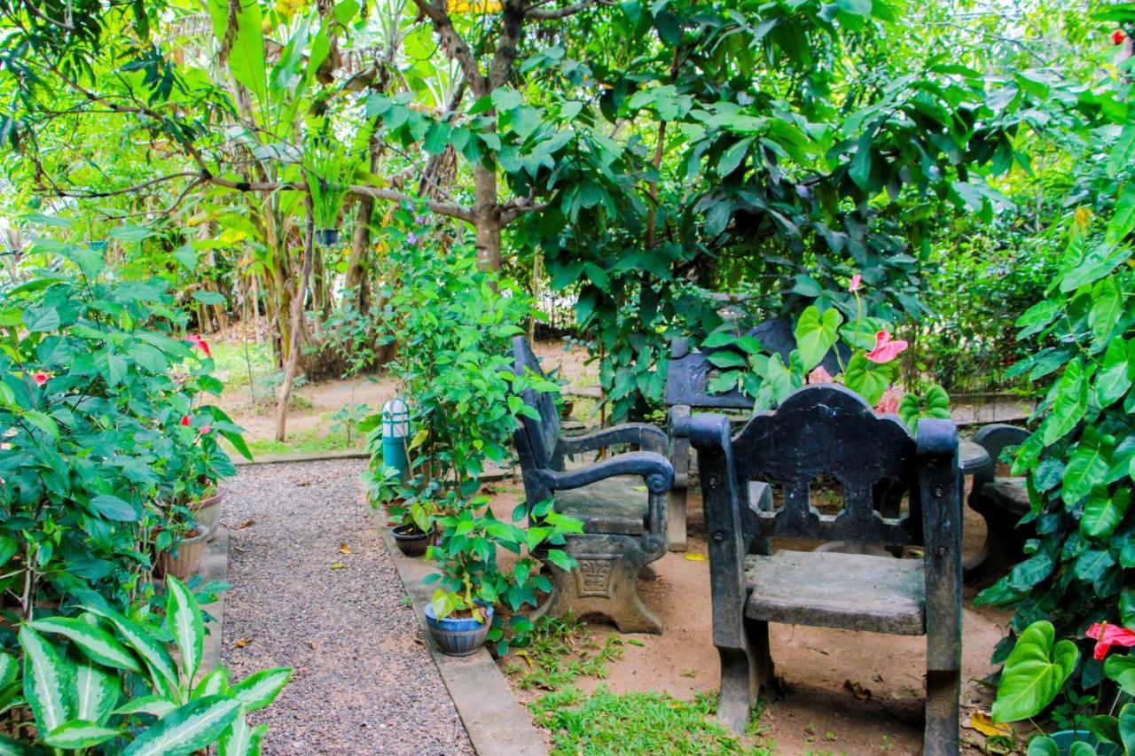 Galaxy View Homestay 锡吉里亚 外观 照片