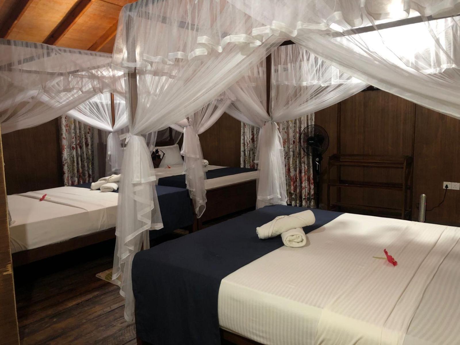 Galaxy View Homestay 锡吉里亚 外观 照片